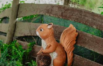 Brzozowa Polana - Foto 46