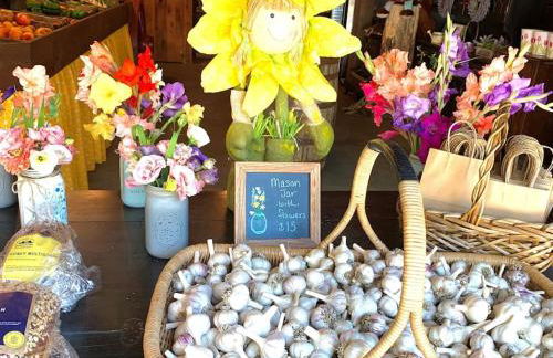 Luxury Farm Stay-Bonds Corner Bungalow-Wolf Pine Hollow - Foto 6