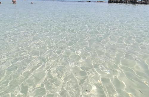 Trullo Alessandro e Villa Raffaela - Foto 142