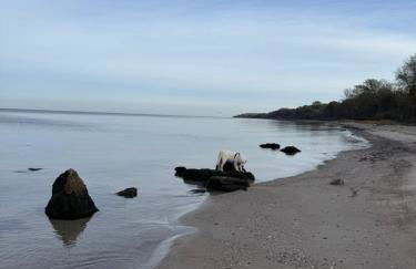 Kapitänshaus - Foto 26