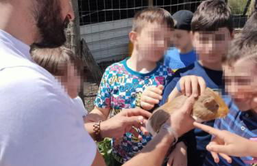 Agriturismo solare - Foto 34