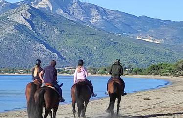 Seaside Glow - Foto 32