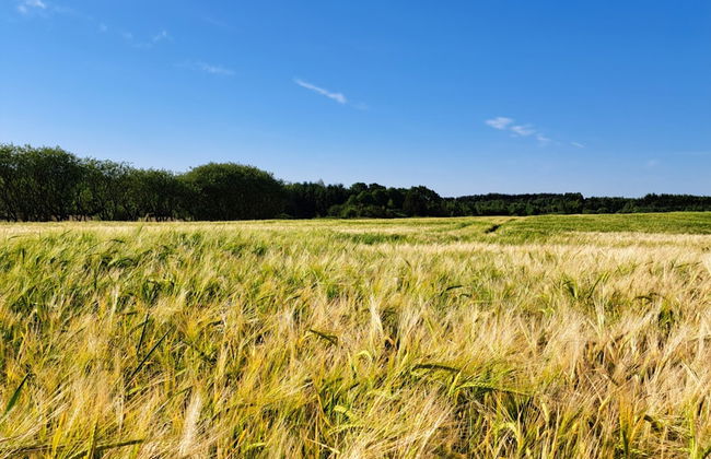 Schellerup Gård - Foto 56