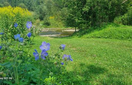 Pod Smerekiem - Photo 19