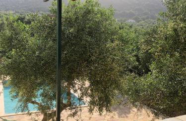 Villa Gaia - Foto 50