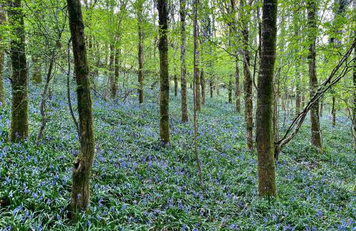 Black Mountains Stylish Hideaway, nr Crickhowell - Photo 23