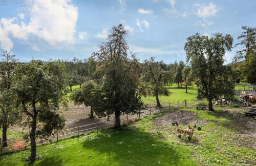 Ferienwohnung 3 am Biohof Eriskirch - Foto 19