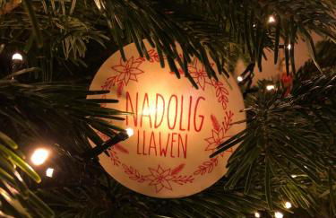 Detached cottage in the hills near Dolgellau - Foto 28