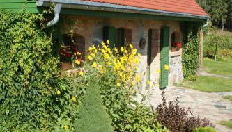 Pustki Rekowskie - Zielone Serce Kaszub - Foto 2