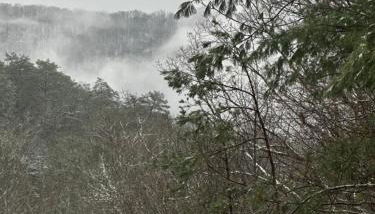 Love Nest in Blue Ridge - Foto 3