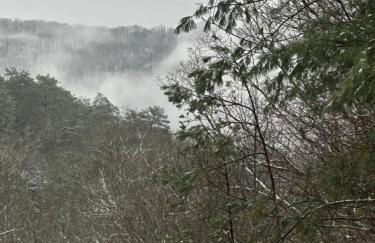 Love Nest in Blue Ridge - Foto 3