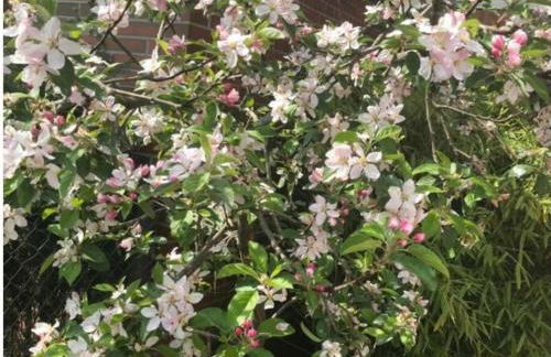 Holiday Apartment Summer Breeze - Foto 67