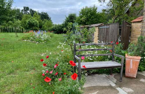 Ferienhof Schmetterlingsgarten - Foto 19
