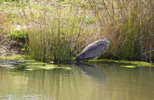 Quinta dos Trevos - Artes e Ofícios - Foto 32