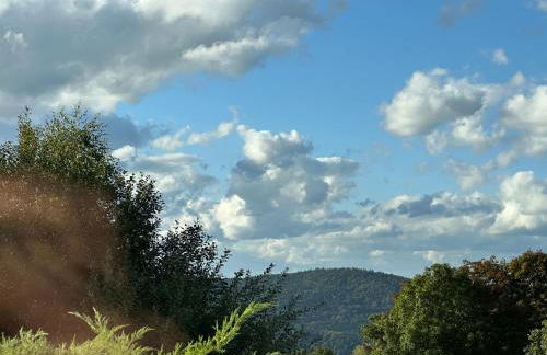 Traumhaftes Apartment mit Exclusiver Ausstattung + WLAN gratis - Foto 6