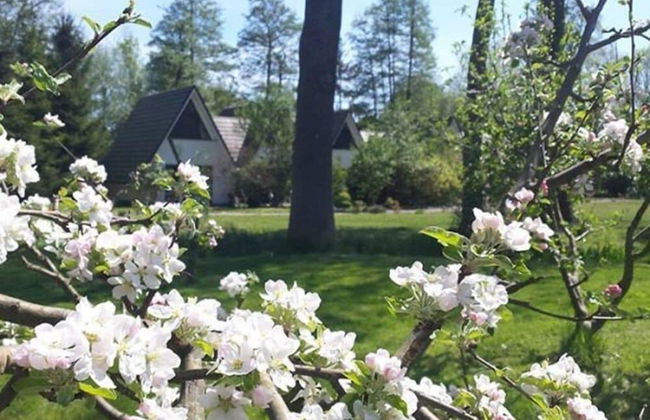 Das Haus Am See - Photo 37