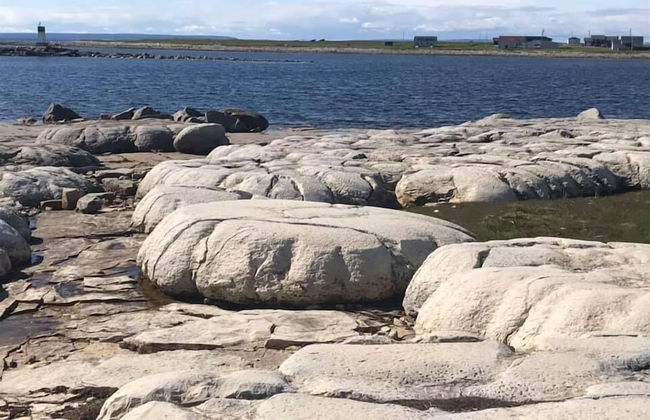 Burnt Cape Cabins - Foto 52