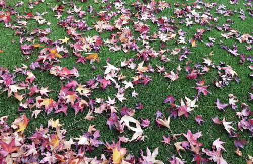 Vil·la La Garriga Termal Congost - Foto 17