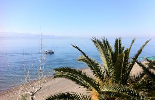 Posidonia Pension - Photo 54