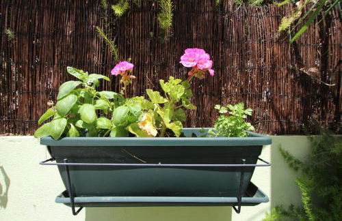 Altura Beach Townhouse - Foto 17