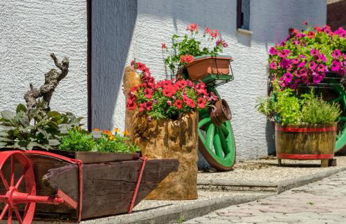 Holiday Home Maja by Interhome - Foto 40