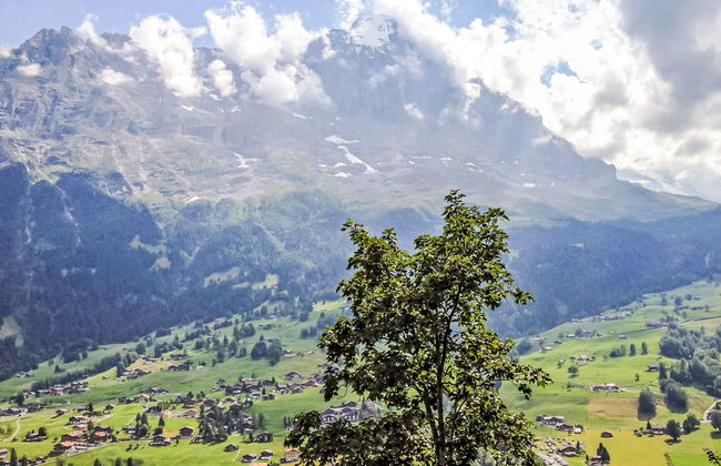 3 bedroom Apartment in Grindelwald with terrace - Photo 26