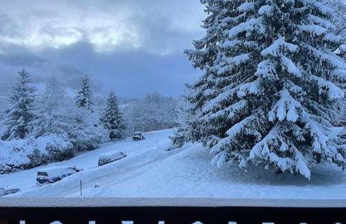 Appartement à Megève skis aux pieds - La CABOCHE - Photo 7