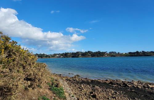 Des chevreuils - Photo 23