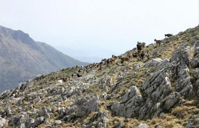 Pescaglia Serene Retreat - Foto 26