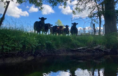 Au Domaine du Prédieu - Foto 47