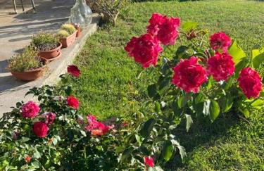 Casa Mulinazzo - Foto 10