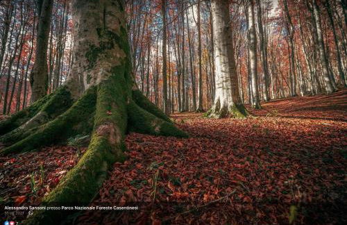 Antica casa in sasso - Casa Vacanze - Foto 15