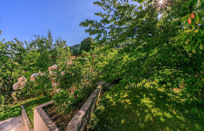 House Vicky - Foto 36