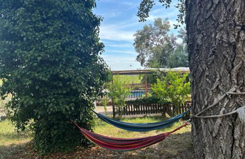 Agriturismo Fattoria Del Colle By Enrico - Foto 14