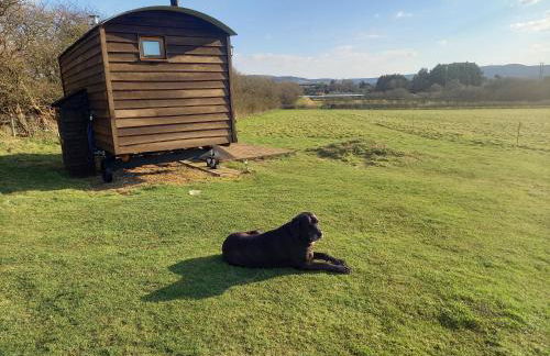 Under the Stars Shepherds Huts at Harbors Lake - Photo 32