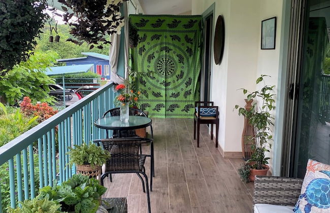 Morning Glory - Foto 43