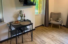 Apartamenty Drewno i Kamień - Foto 20