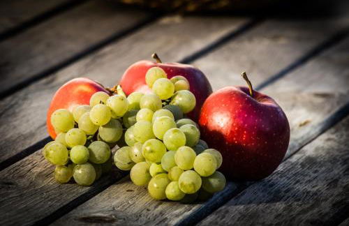 Schrotthof - Foto 19