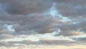 Zielona Ostoja - Foto 5