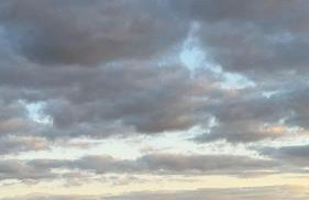 Zielona Ostoja - Foto 5