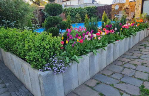 gemütliches Ferienhaus mit privatem Außenpool - Foto 4