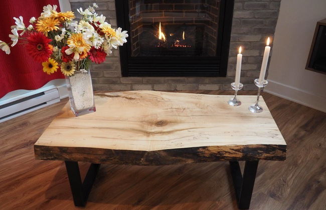 Domaine du parc de la forêt ouareau - Photo 22