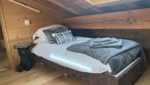 Chalet Moose - Photo 3