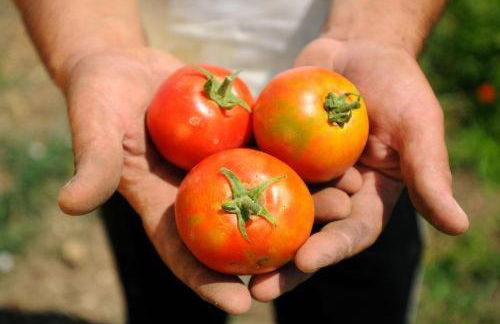 Agriturismo I Vigneti - Foto 113