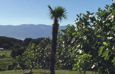 Apartments Juranic I - Photo 23