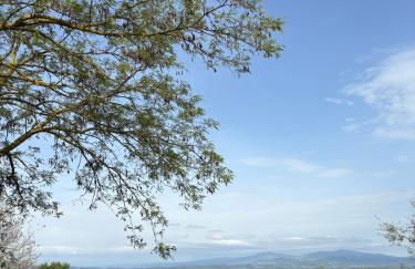 LA CAPANNA Casale in pietra con piscina - Foto 47