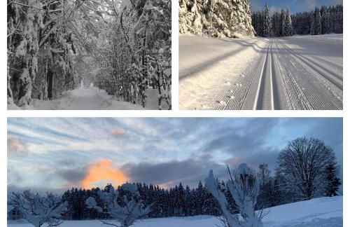 Ferienwohnung BEER - Photo 18