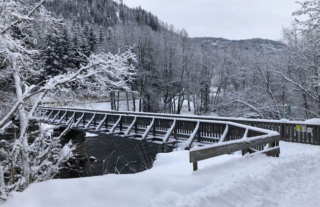 Chalet Prinz Comfortable Holiday Residence - Foto 34