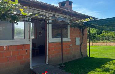 Apartman Abramović - Photo 46