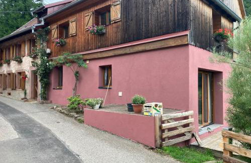 Maison Grande Verrerie 6 personnes RIBEAUVILLE - Foto 20